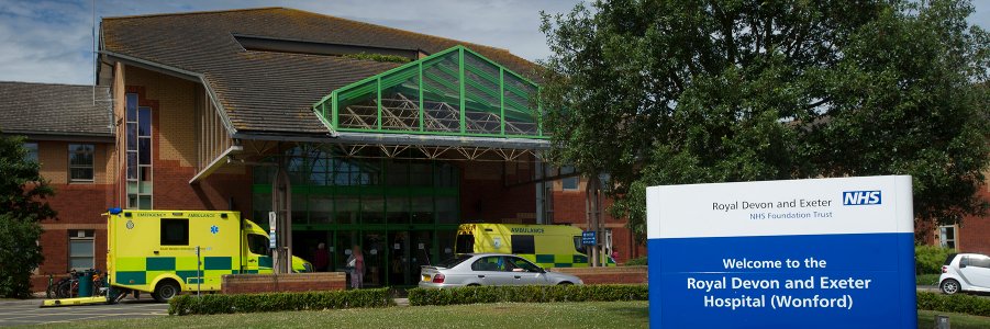 exeterstroke's profile banner image