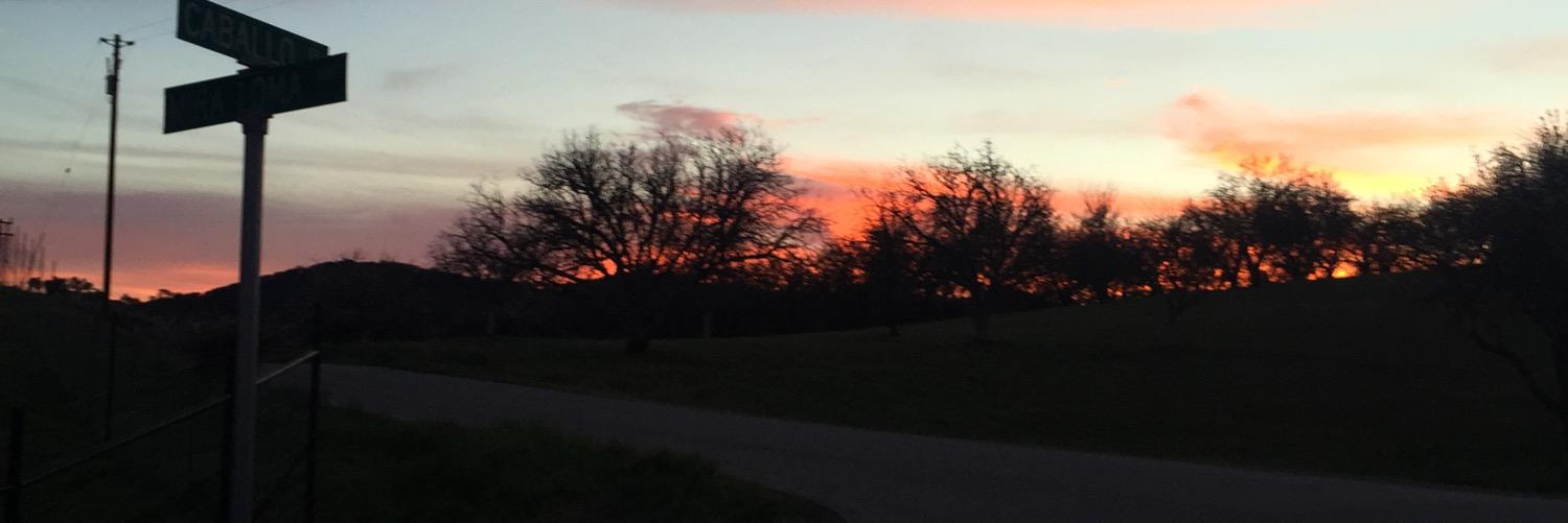 tanbuddy143's profile banner image