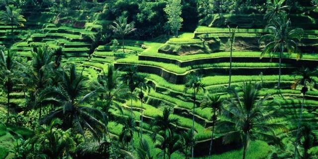 IG_Aceh's profile banner image