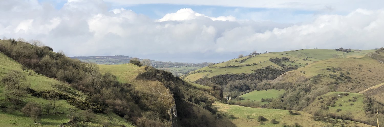 Adam Hutchinson banner