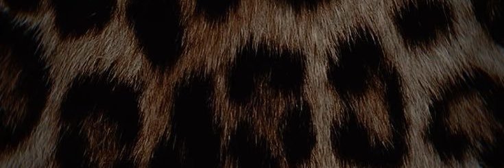 MUSCLEMOMMY ❤️‍🔥 banner