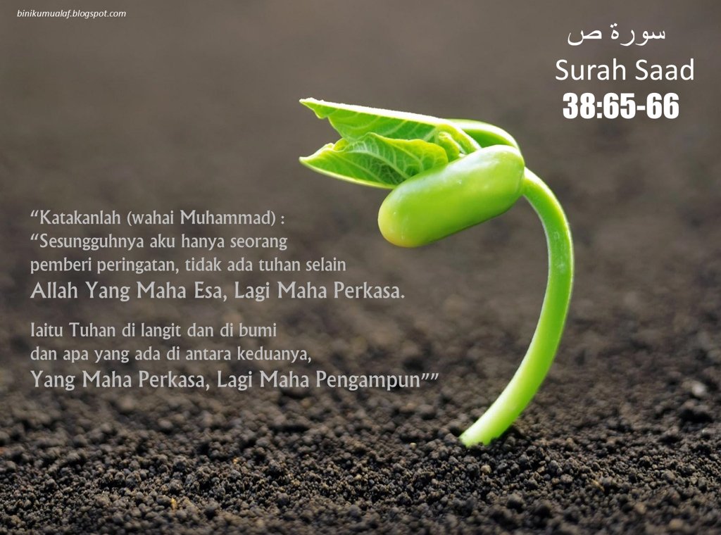 Luthfi_yk's profile banner image