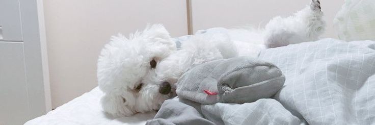 psj124's profile banner image