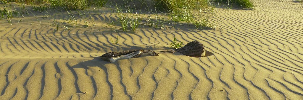 Jaco H. Baas 🇪🇺🏴󠁧󠁢󠁷󠁬󠁳󠁿🇳🇱⚒️⛰️🌊🚶🥘🎶⚽ banner