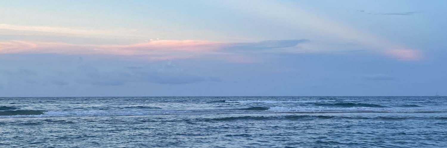 AA. banner