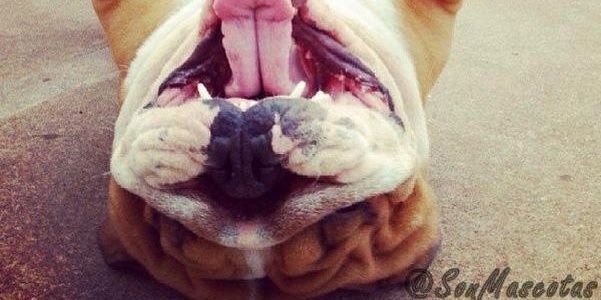 PanchoJBGriff's profile banner image