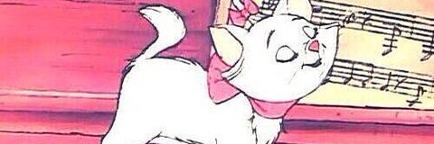 salt0803's profile banner image
