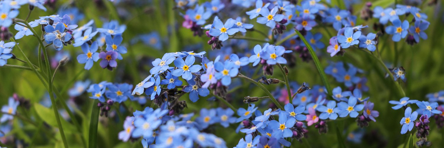 Liane7255's profile banner image