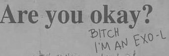 honeymo0nfc's profile banner image