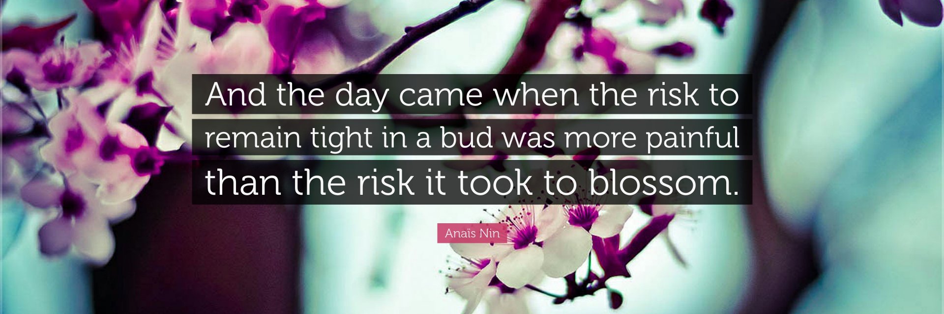 Jody Bekevich banner