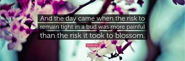 Jbekevich Profile Banner