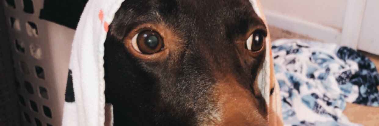 ashleywill1037's profile banner image