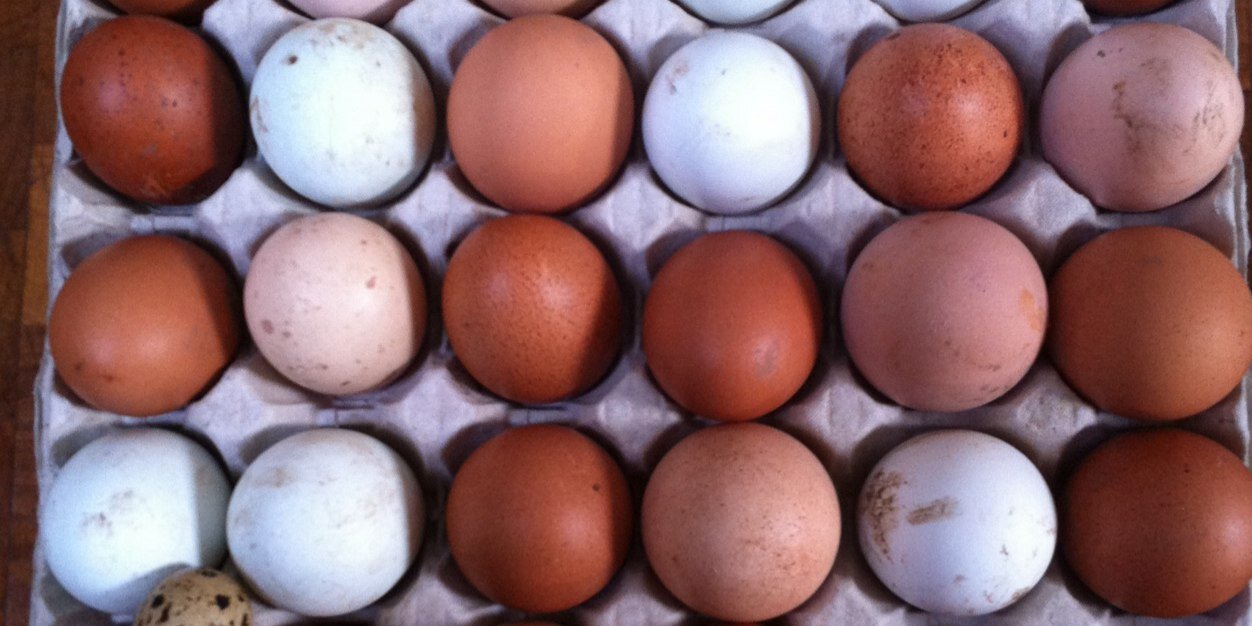 Jennifer Goss aka Our Two Acres banner