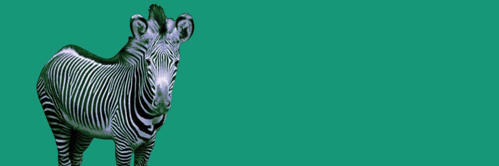 MopsHopkins's profile banner image