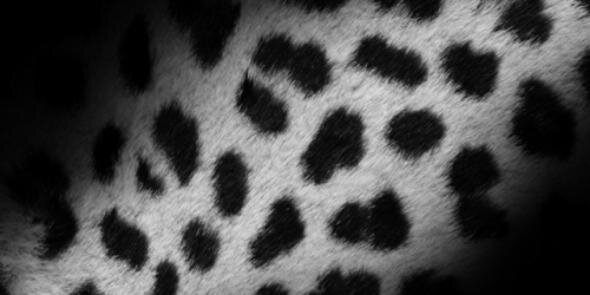 AnitaKyly's profile banner image