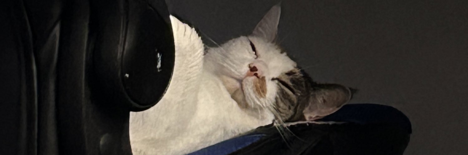 ThisIsDen_'s profile banner image