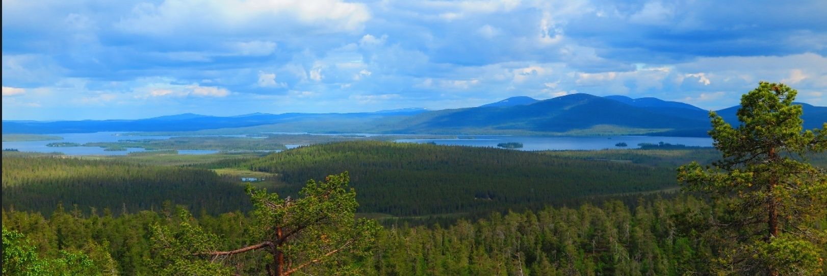 JariHoffren's profile banner image