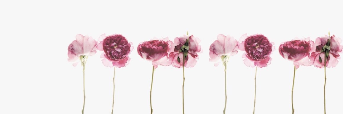 hannahwallaace's profile banner image