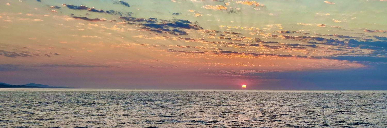 LloydMaddy's profile banner image