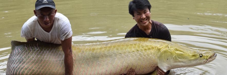 tarzanfishing's profile banner image