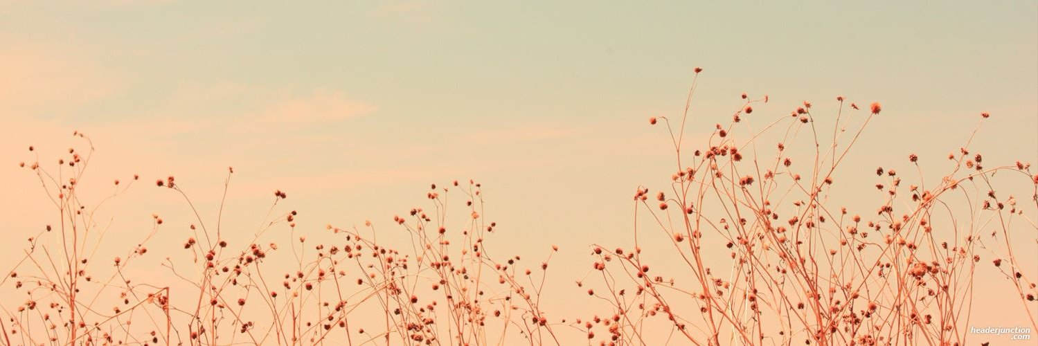 lyusierivman's profile banner image