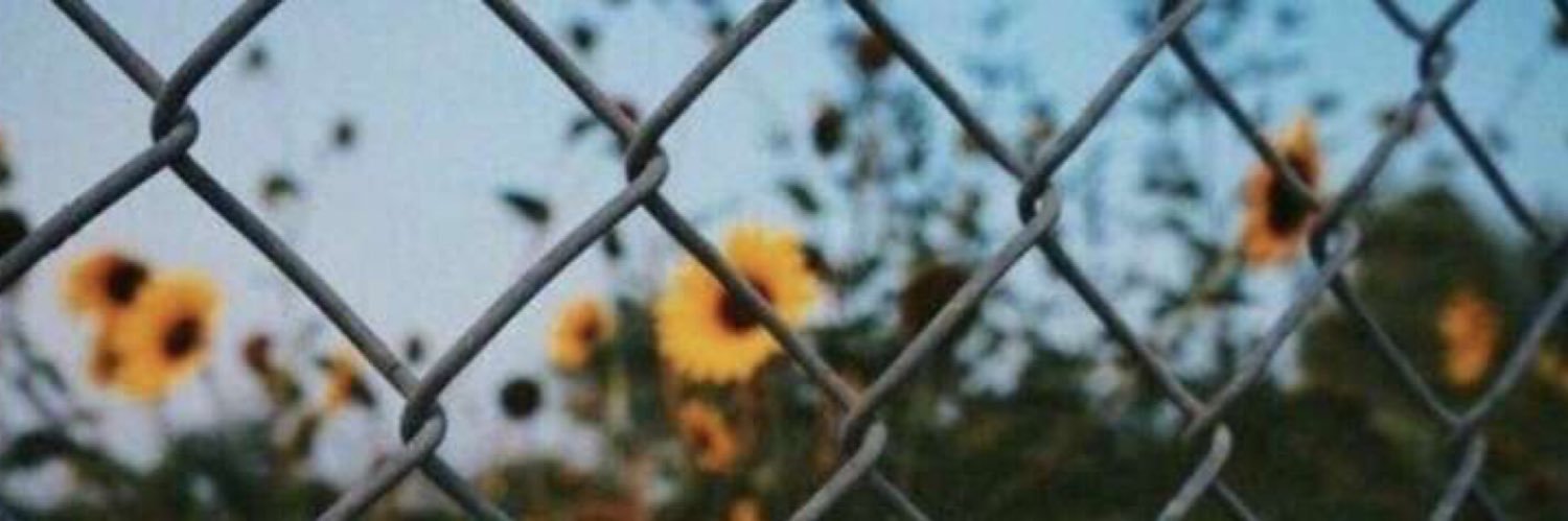 aaashw1's profile banner image