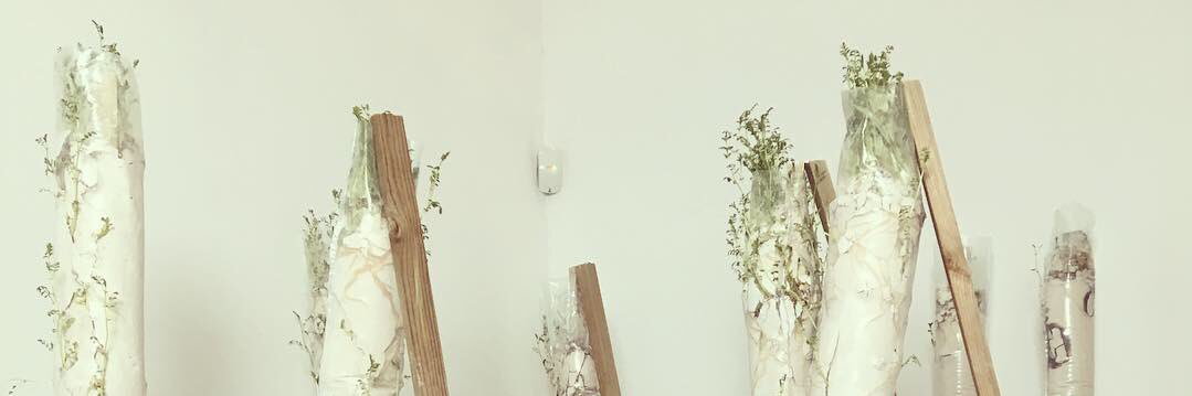 beccapf's profile banner image