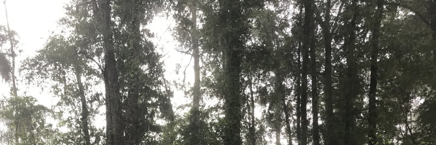 devon_davis_'s profile banner image