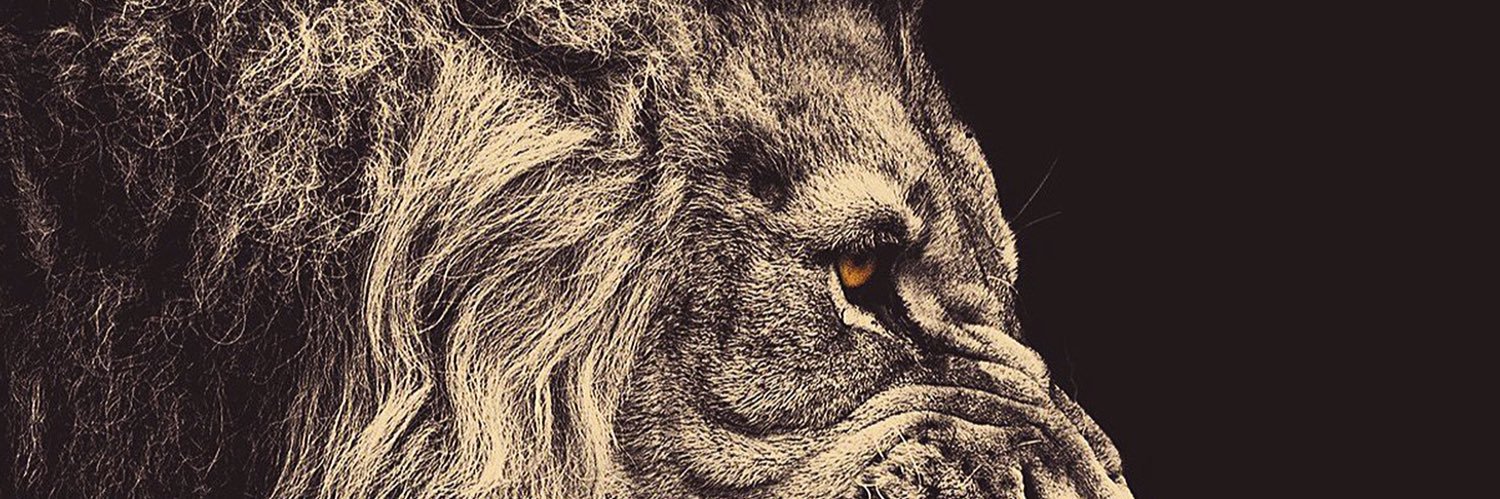 jae4yi's profile banner image