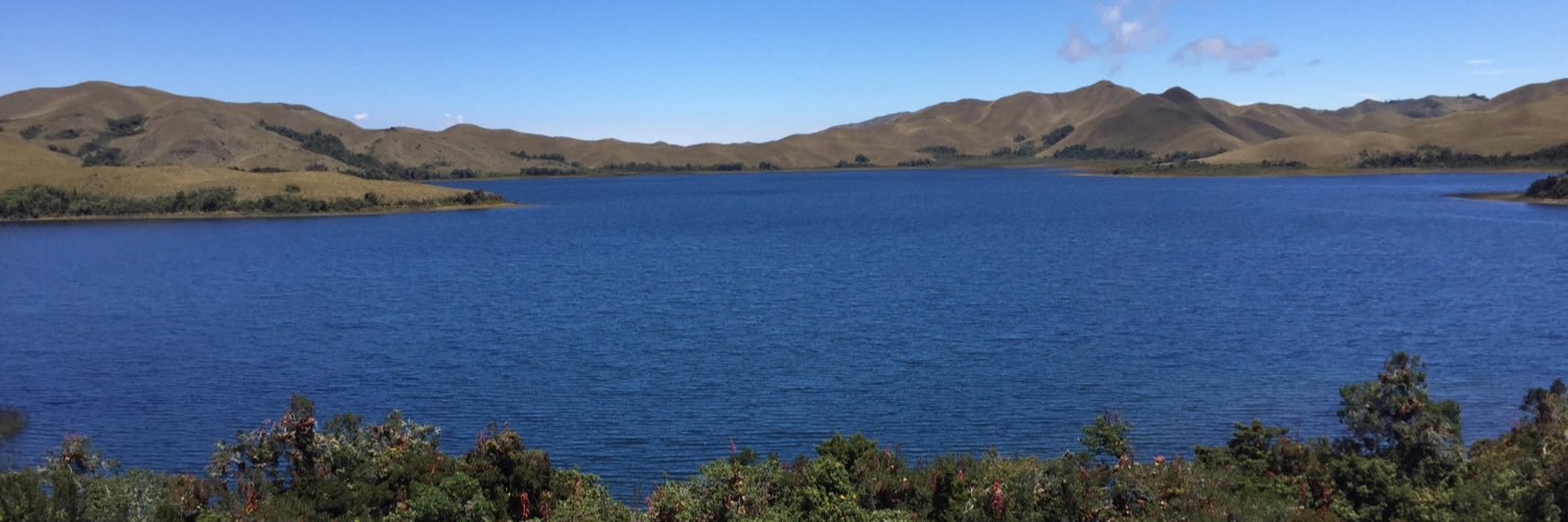 Felipe Ribadeneira banner