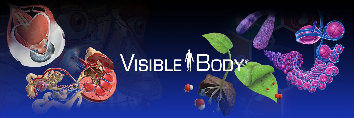 Visible Body banner