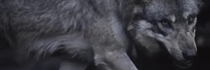 NicolasPlessiis's profile banner image