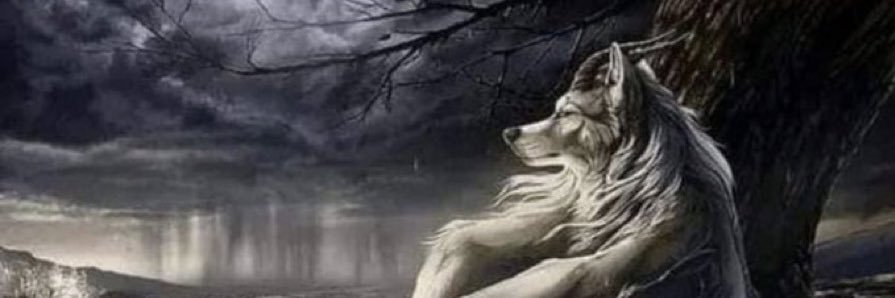 lexixsal's profile banner image