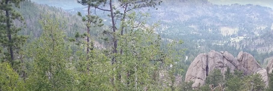 randyvroman's profile banner image