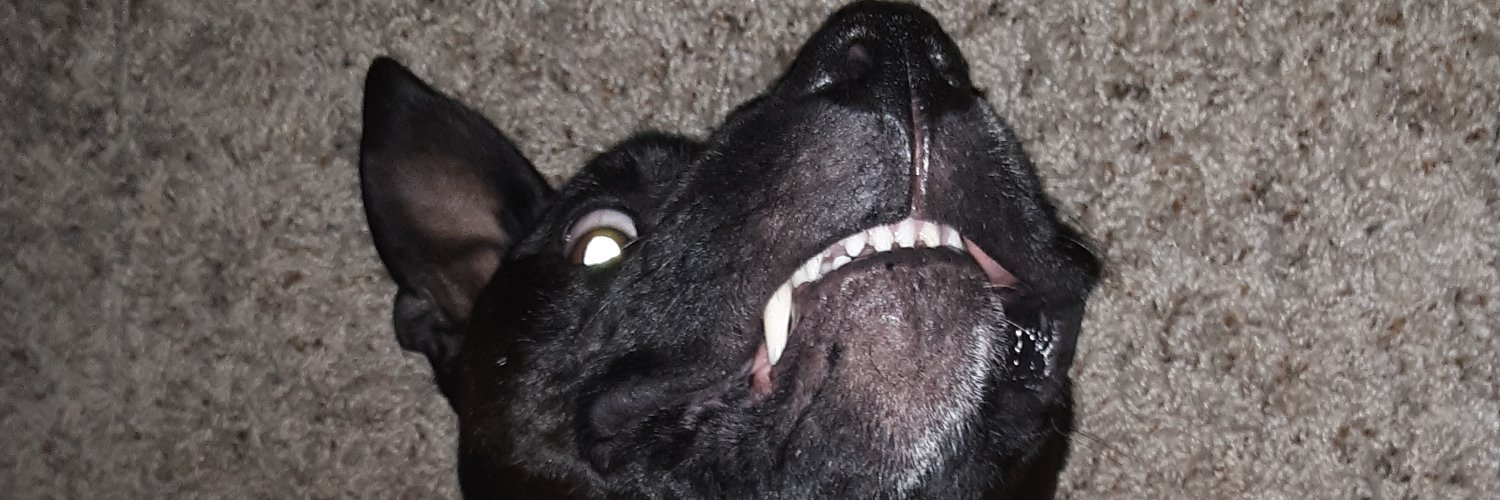 Jebcib's profile banner image