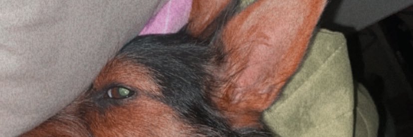 hugomago1's profile banner image