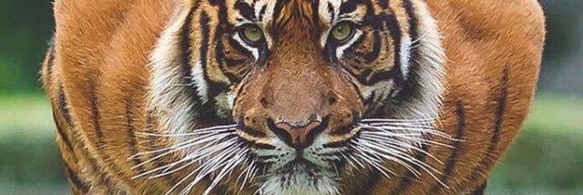 aiton001's profile banner image