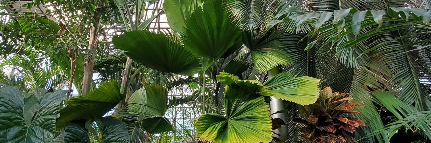 Vicky Absolon banner