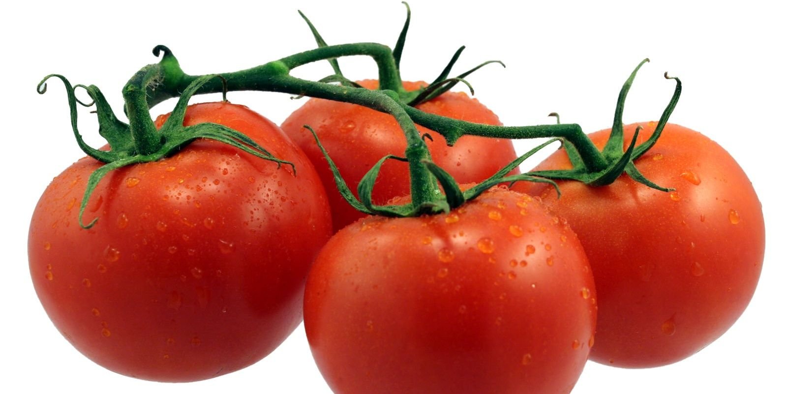 LaughTomatoTime's profile banner image