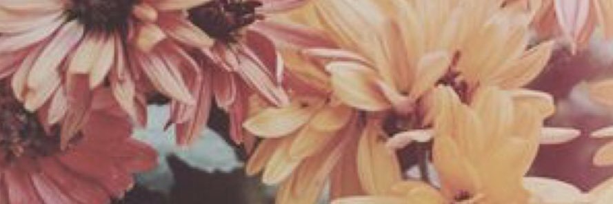 cmragland's profile banner image