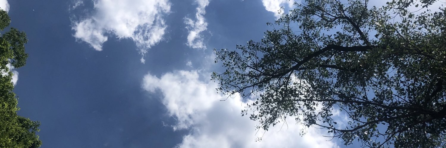 laylaisdone's profile banner image