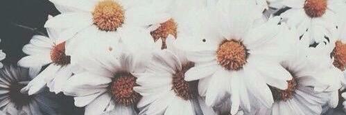 Yuseph_AMC's profile banner image