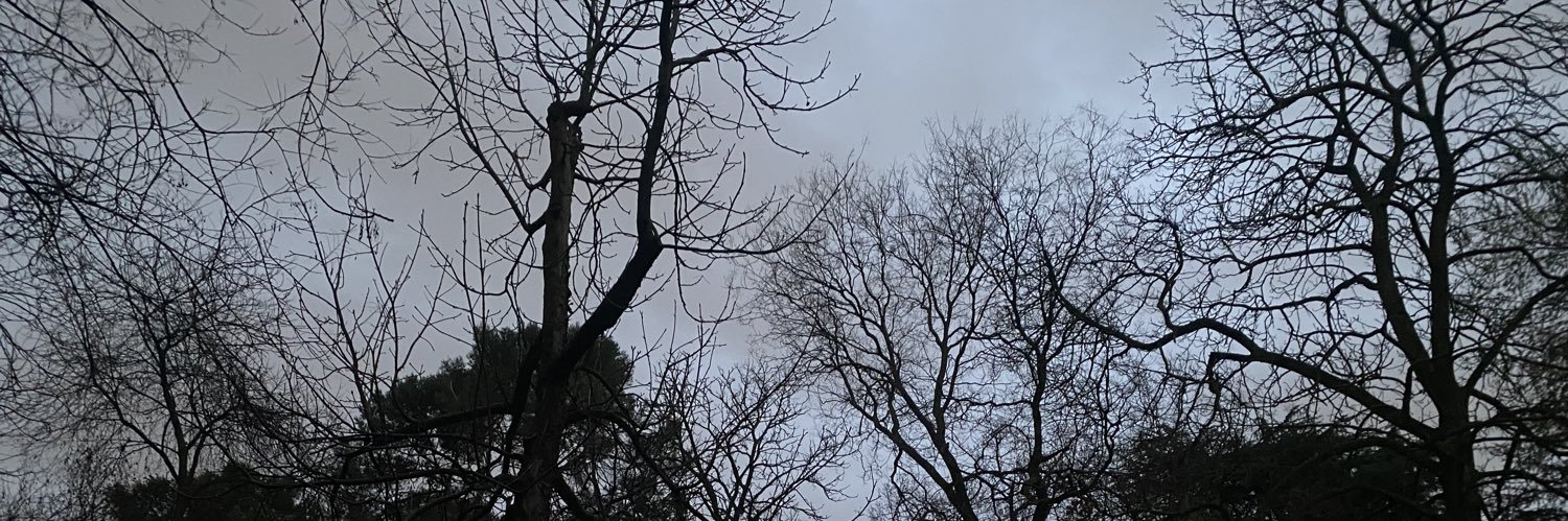BL0keeee's profile banner image