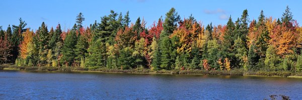 thicao Profile Banner