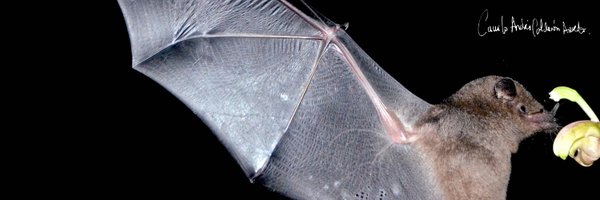 camiloandresAC Profile Banner