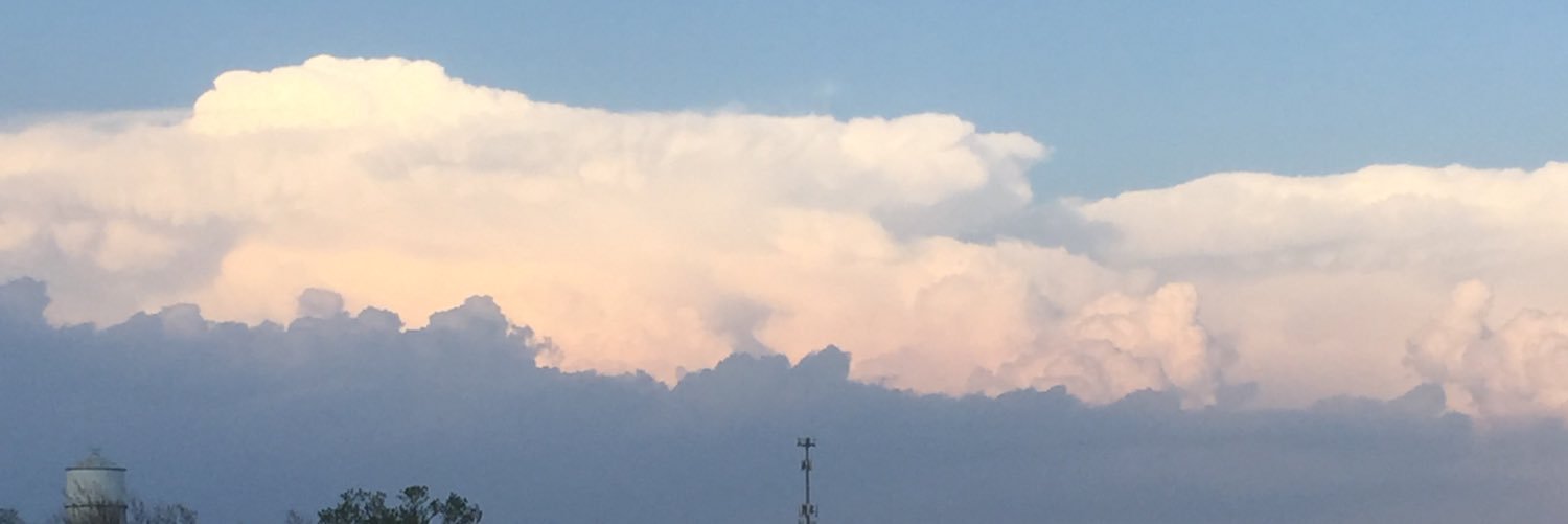 Roarke McKinzie banner