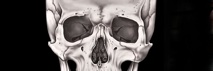 anatomia17's profile banner image