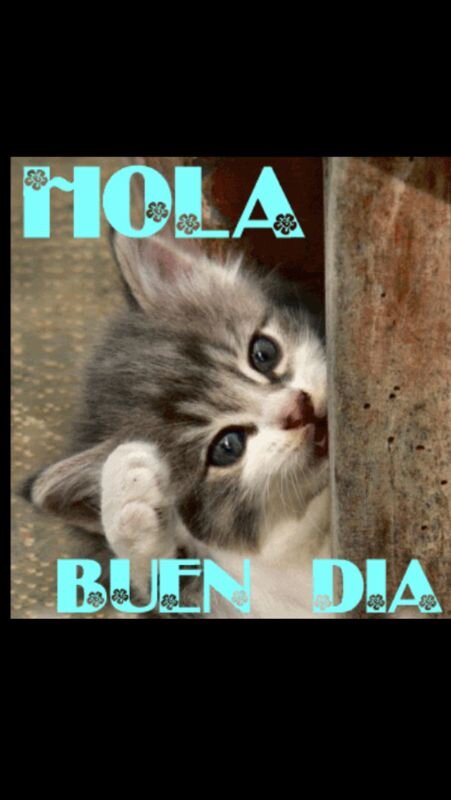 yo misma banner