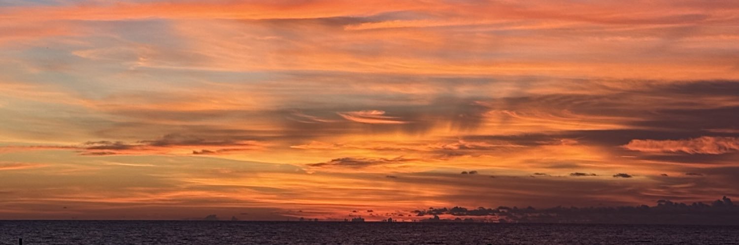 Catman311's profile banner image