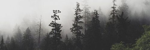 onewholeidiot's profile banner image